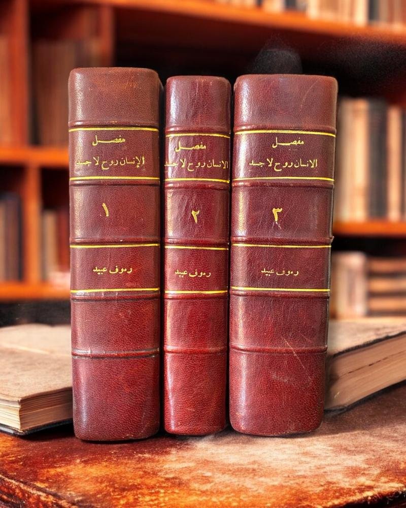 12cb6e5b-6a13-4c57-a0f8-ddb47d2305a8-800x1000-H7tSWspfjReTxOs3vdCHzihhk93U9WG6SAWSvAhc